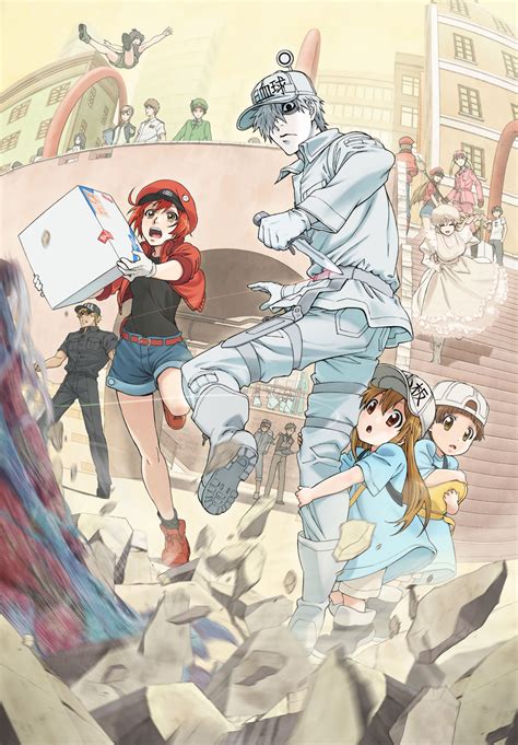 Hataraku Saibou!! .